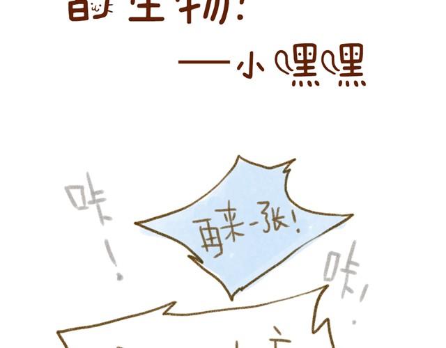 对猫来说，手机不是友好的东西-第15话