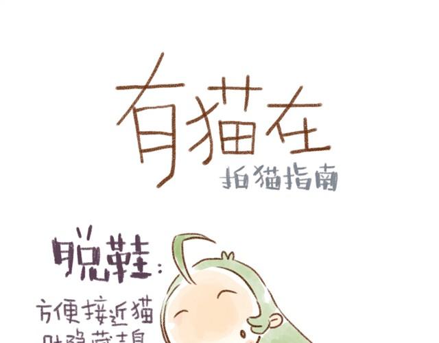 对猫来说，手机不是友好的东西-第15话