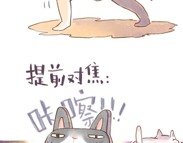 对猫来说，手机不是友好的东西-第15话