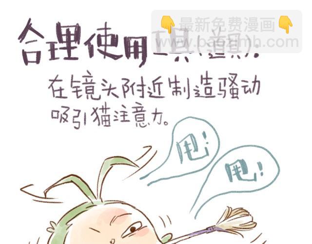 对猫来说，手机不是友好的东西-第15话