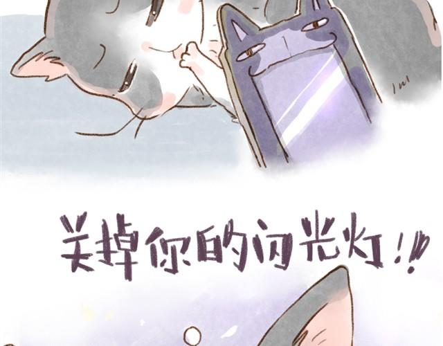 对猫来说，手机不是友好的东西-第15话