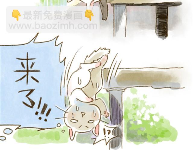 对猫来说，手机不是友好的东西-第15话