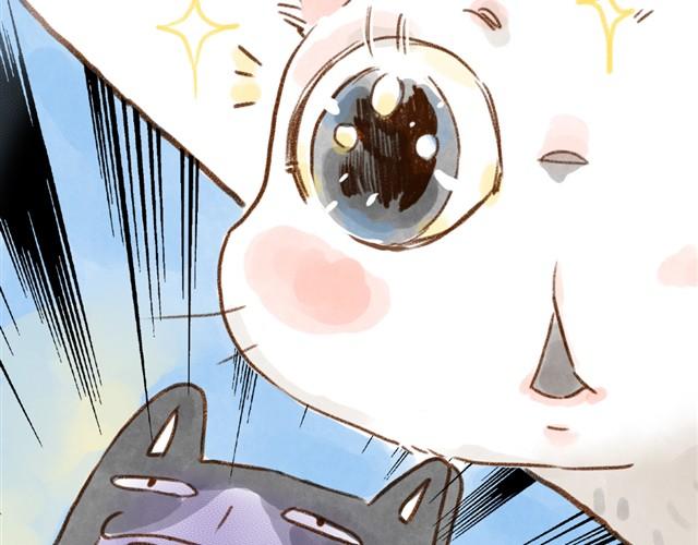 对猫来说，手机不是友好的东西-第15话