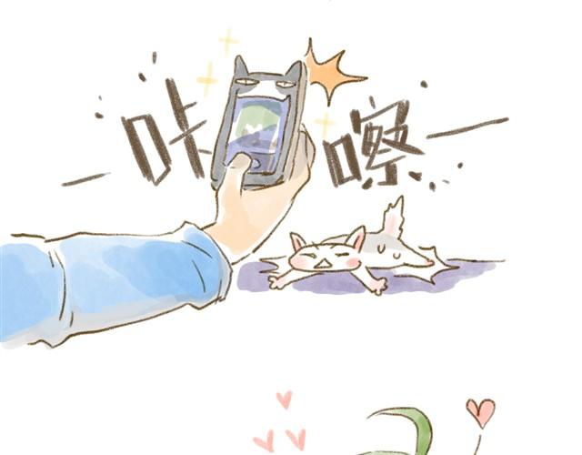 对猫来说，手机不是友好的东西-第15话