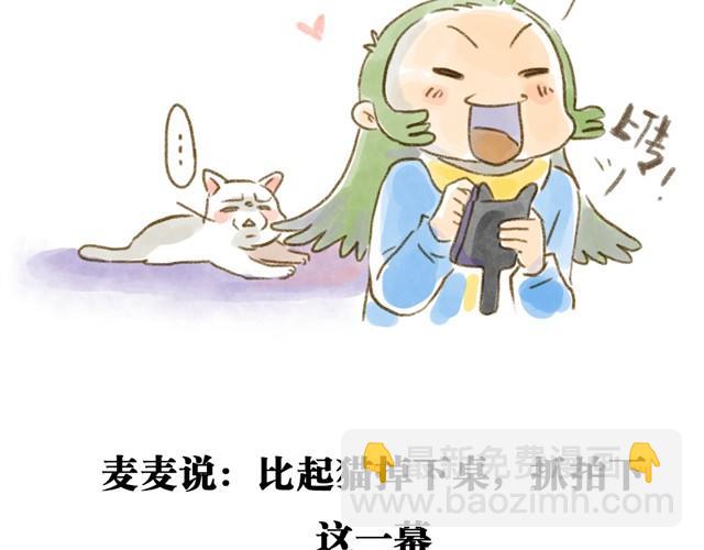 对猫来说，手机不是友好的东西-第15话