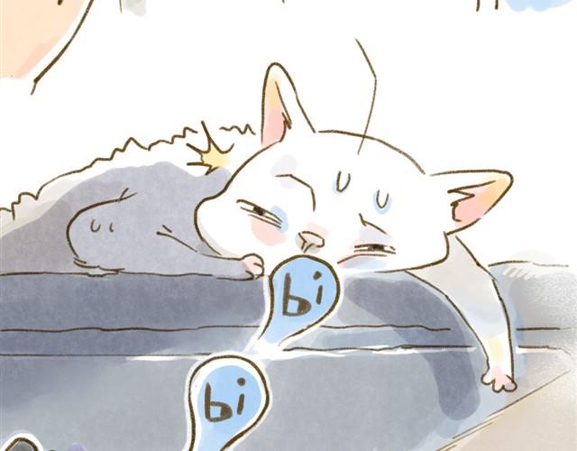 对猫来说，手机不是友好的东西-第15话