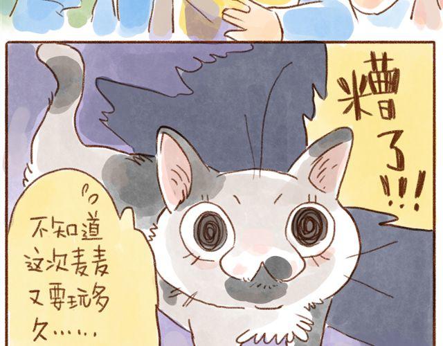 跟猫奴在一起千万要小心！-第19话