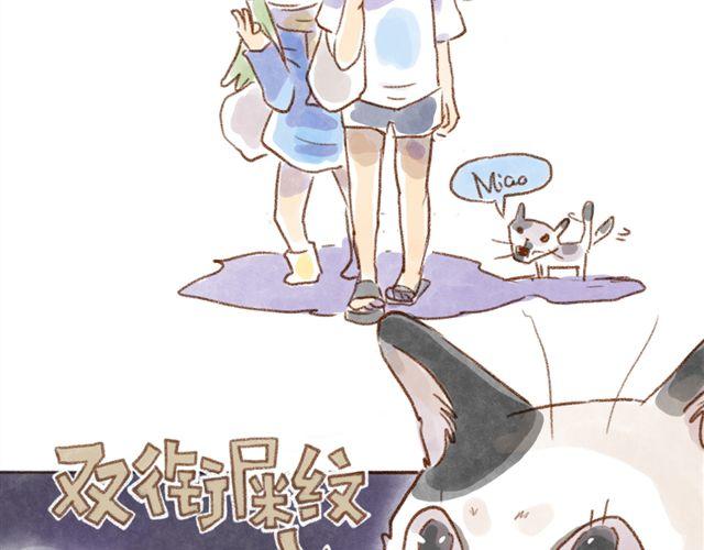 跟猫奴在一起千万要小心！-第19话