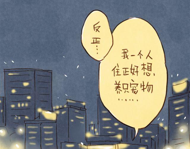 跟猫奴在一起千万要小心！-第19话