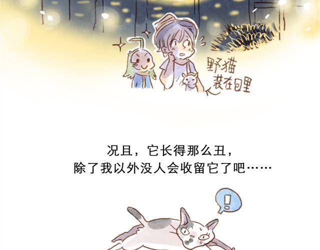 跟猫奴在一起千万要小心！-第19话