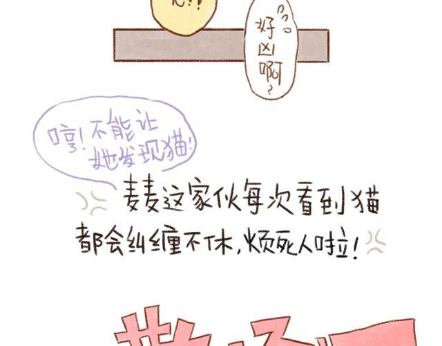 跟猫奴在一起千万要小心！-第19话