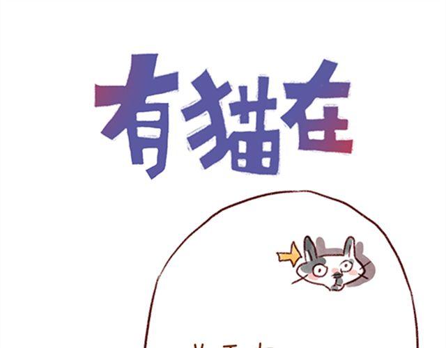 猫咪的好多行为你懂吗？-第21话