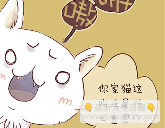 猫咪的好多行为你懂吗？-第21话
