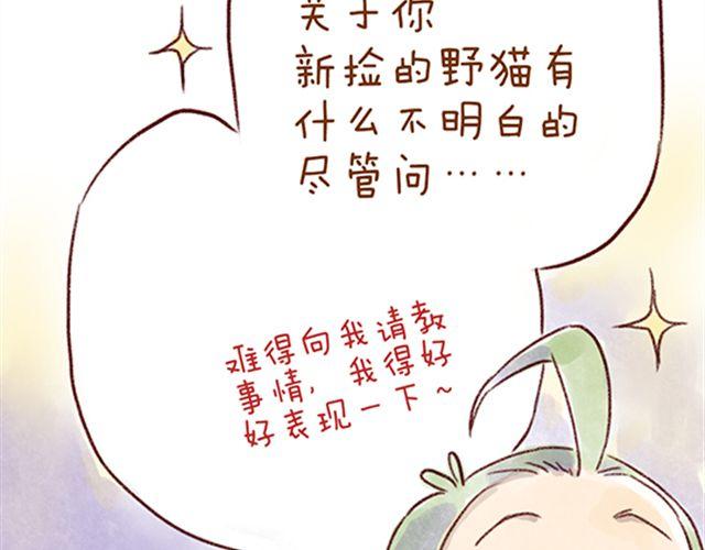 猫咪的好多行为你懂吗？-第21话