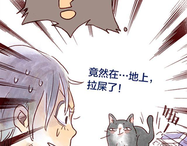猫咪的好多行为你懂吗？-第21话