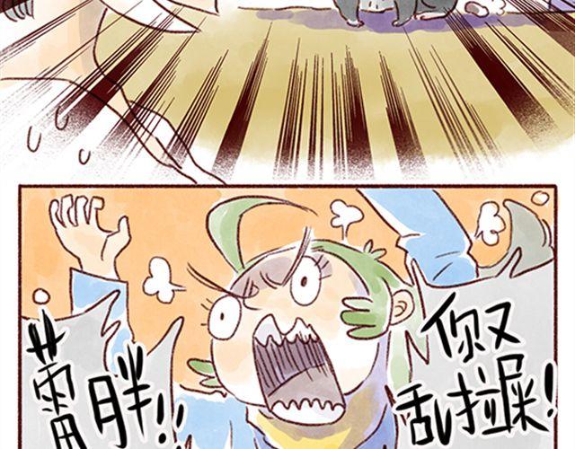 猫咪的好多行为你懂吗？-第21话