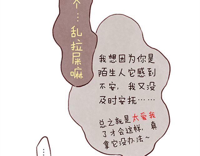 猫咪的好多行为你懂吗？-第21话