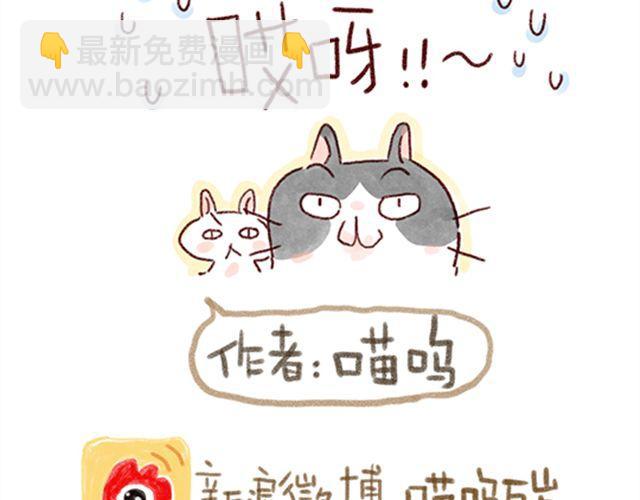猫咪的好多行为你懂吗？-第21话