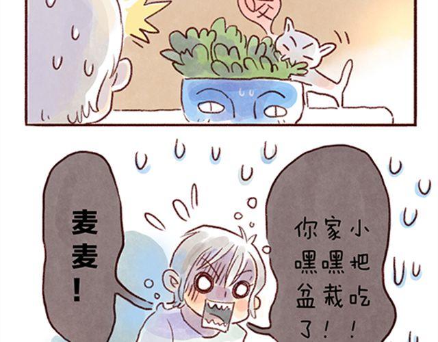 猫咪的好多行为你懂吗？-第21话