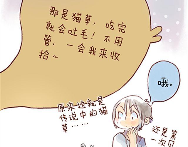 猫咪的好多行为你懂吗？-第21话