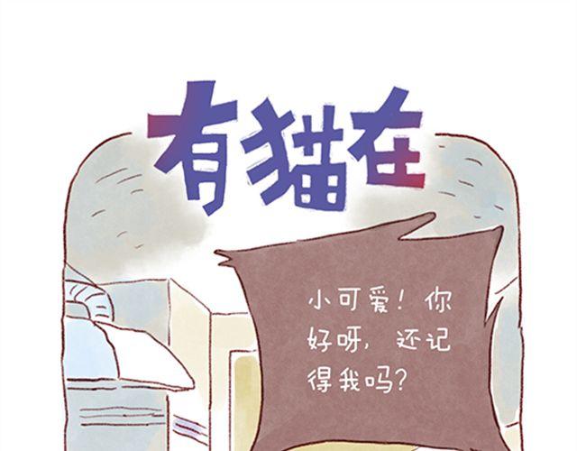 不能让猫养成坏习惯-第23话