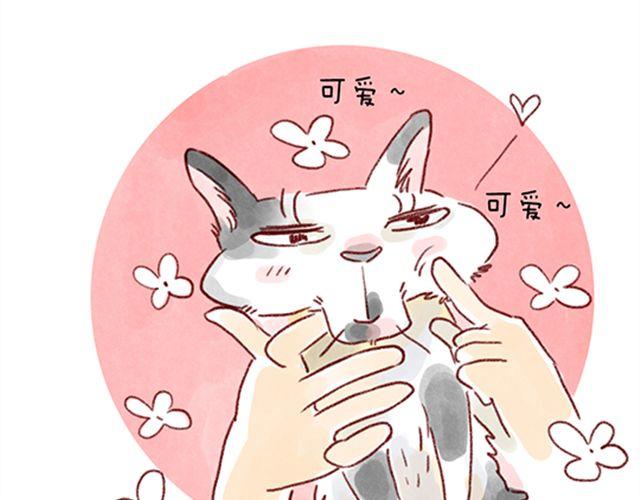 不能让猫养成坏习惯-第23话