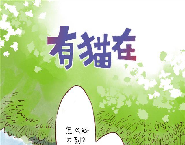 猫奴的百宝袋-第25话