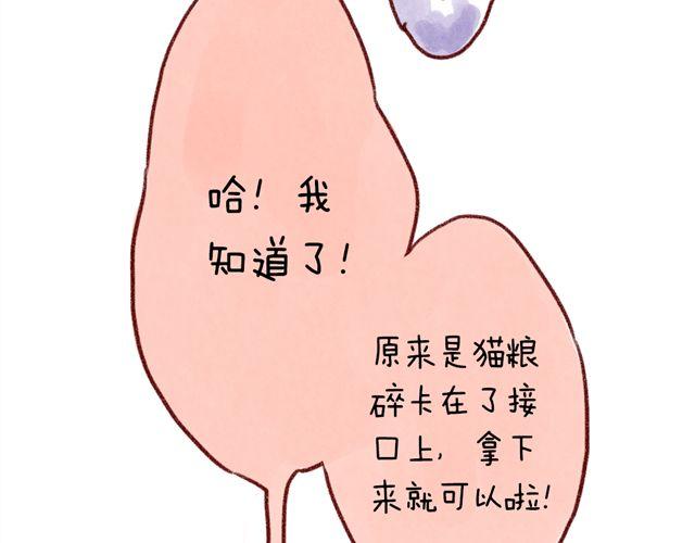 猫奴的百宝袋-第25话