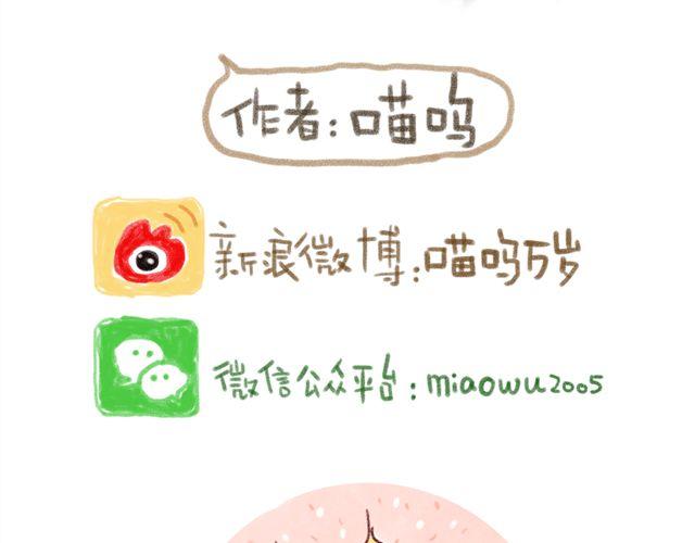 猫奴的百宝袋-第25话