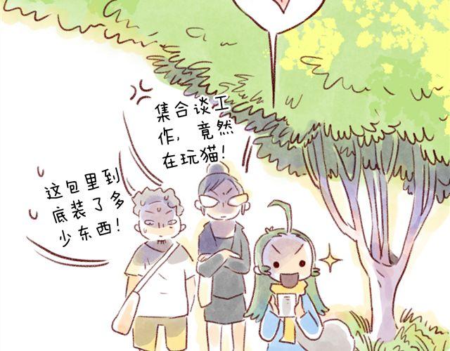 猫奴的百宝袋-第25话