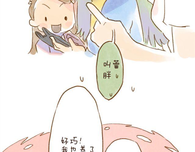 养猫或许能让你成为社交达人-第27话