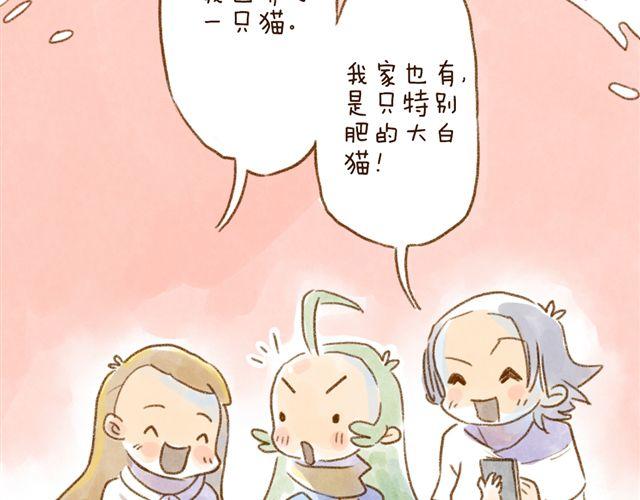 养猫或许能让你成为社交达人-第27话