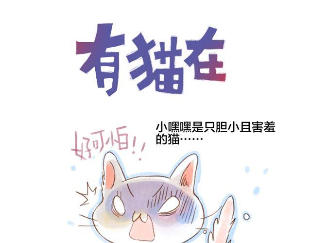 有猫在 - 怂猫超有用！ - 1