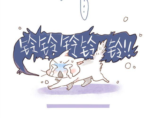 怂猫超有用！-第31话