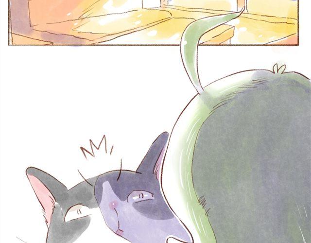 冬天与猫的游戏-第33话