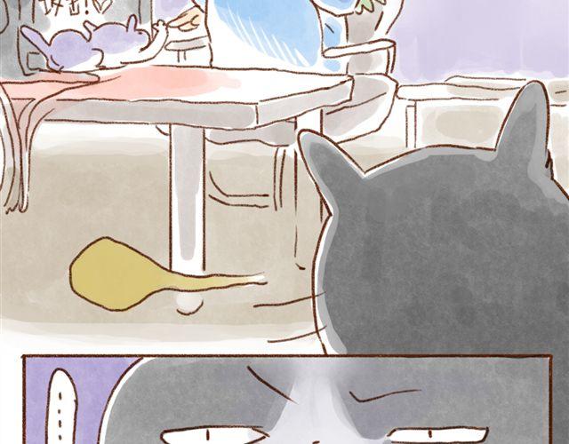 同样都是猫，为什么差别这么大-第35话