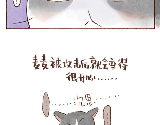 同样都是猫，为什么差别这么大-第35话