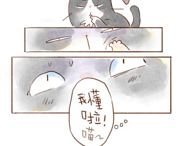 同样都是猫，为什么差别这么大-第35话