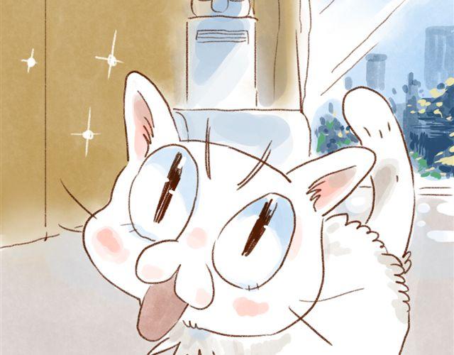 同样都是猫，为什么差别这么大-第35话
