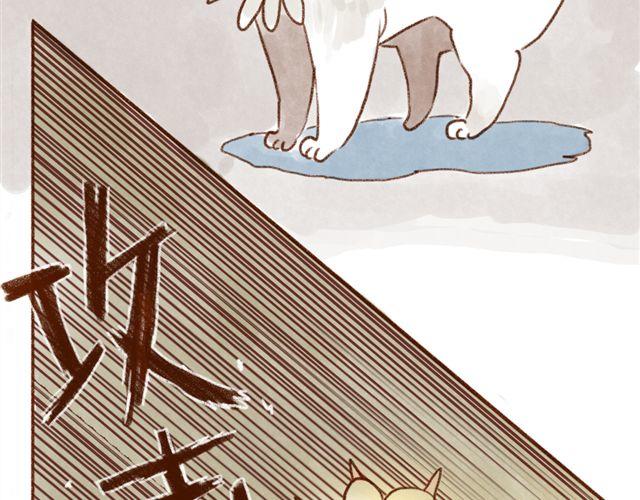 同样都是猫，为什么差别这么大-第35话