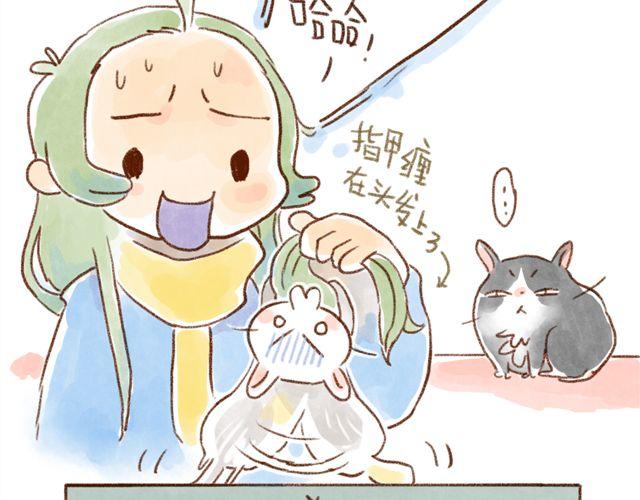 同样都是猫，为什么差别这么大-第35话