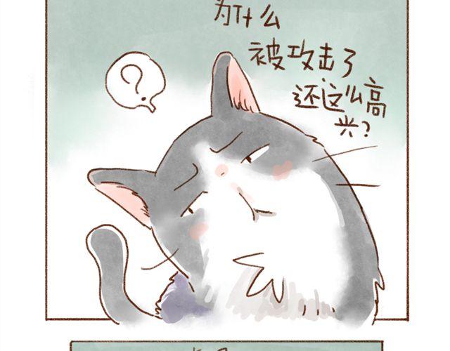 同样都是猫，为什么差别这么大-第35话