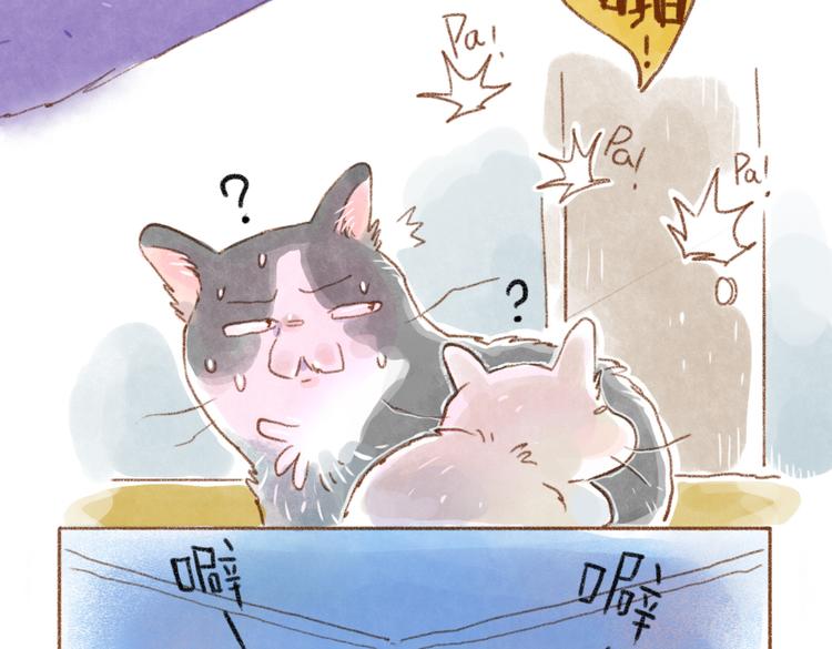 一起噼里啪啦-第41话