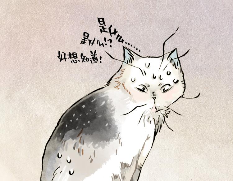 番外 麦麦是猫奴-第43话