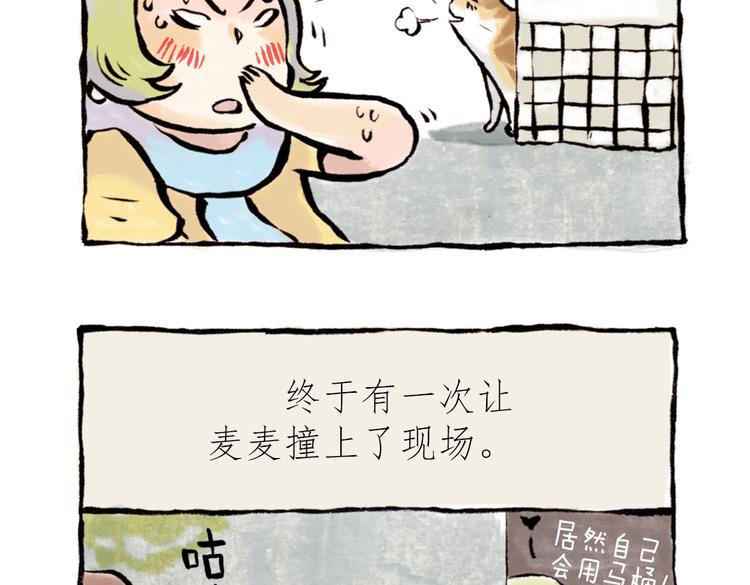 番外 麦麦是猫奴-第43话