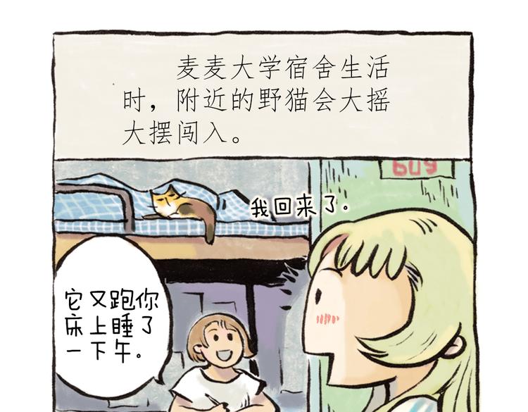 番外 麦麦是猫奴-第43话