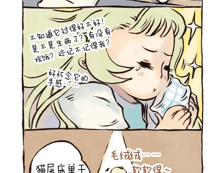 番外 麦麦是猫奴-第43话