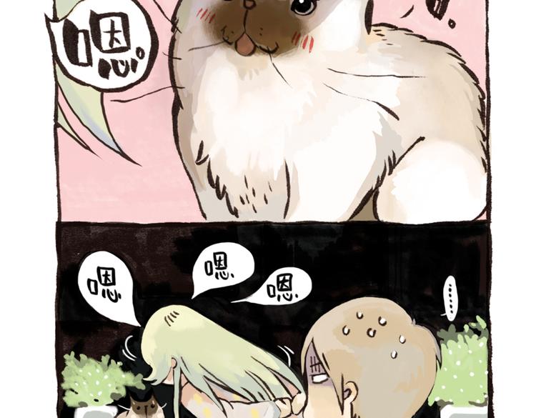 番外 麦麦是猫奴-第43话