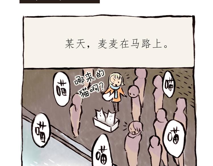 番外 麦麦是猫奴-第43话