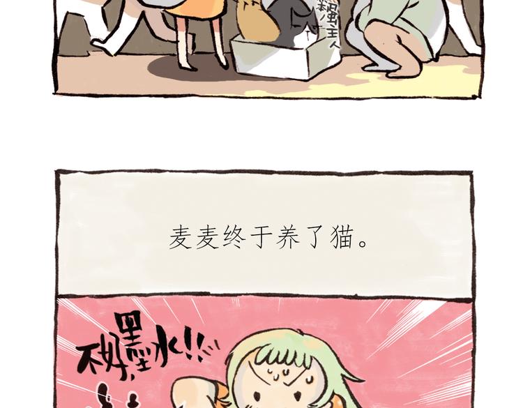 番外 麦麦是猫奴-第43话